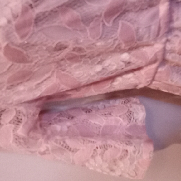 Blush Pink Lace Dress - Picture 5 of 12